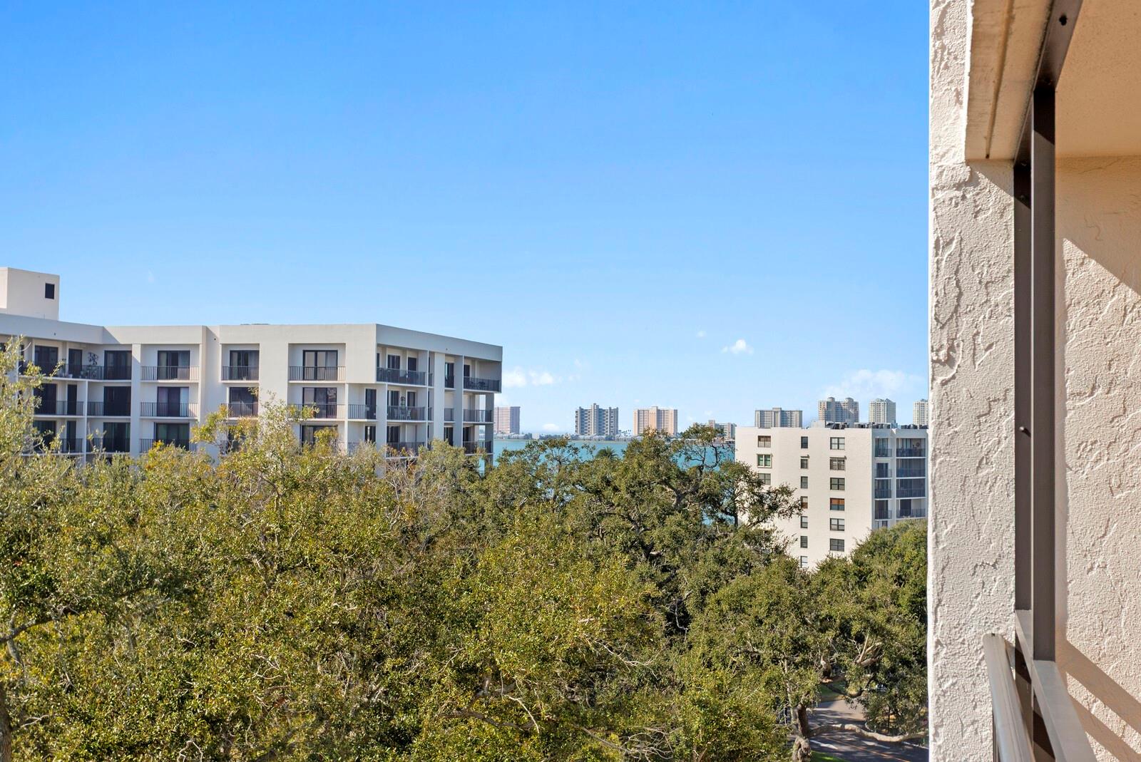 220 Belleview Blvd #702 Property Photo 32