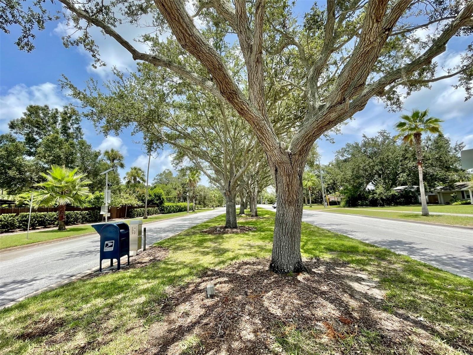 220 Belleview Blvd #702 Property Photo 52