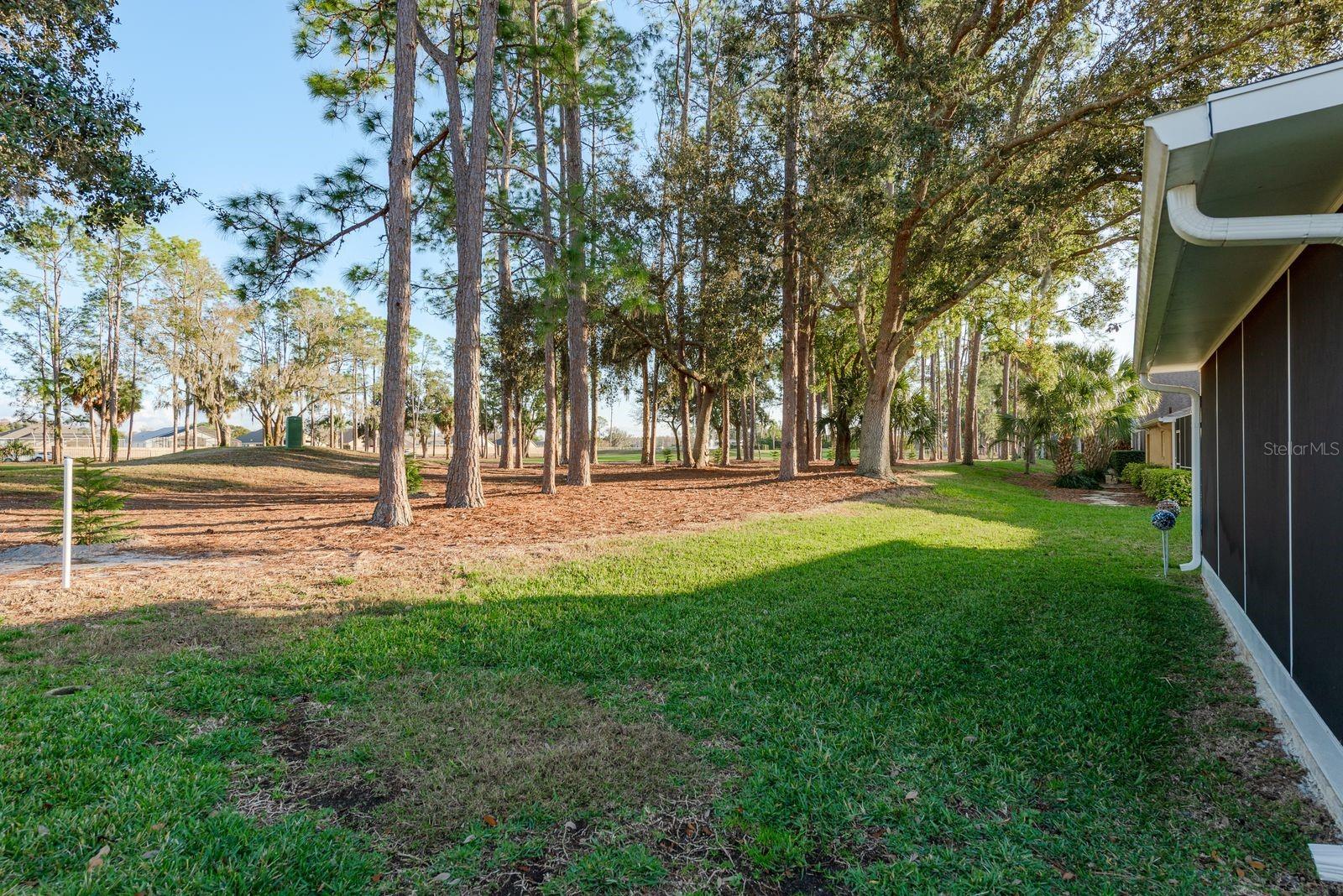 9742 Oakwood Hills Ct Property Photo 35