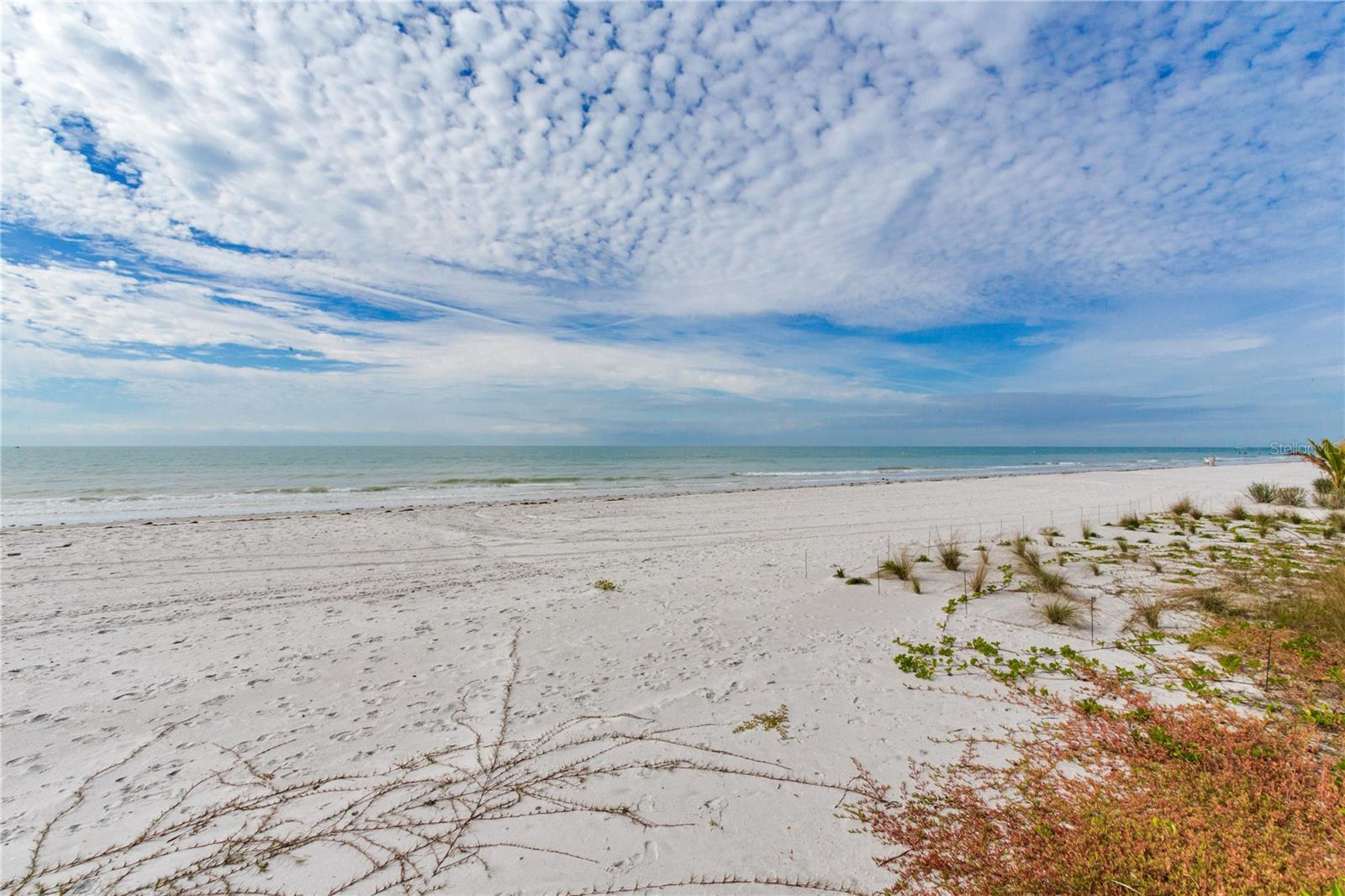 16116 Gulf Blvd Property Photo 34