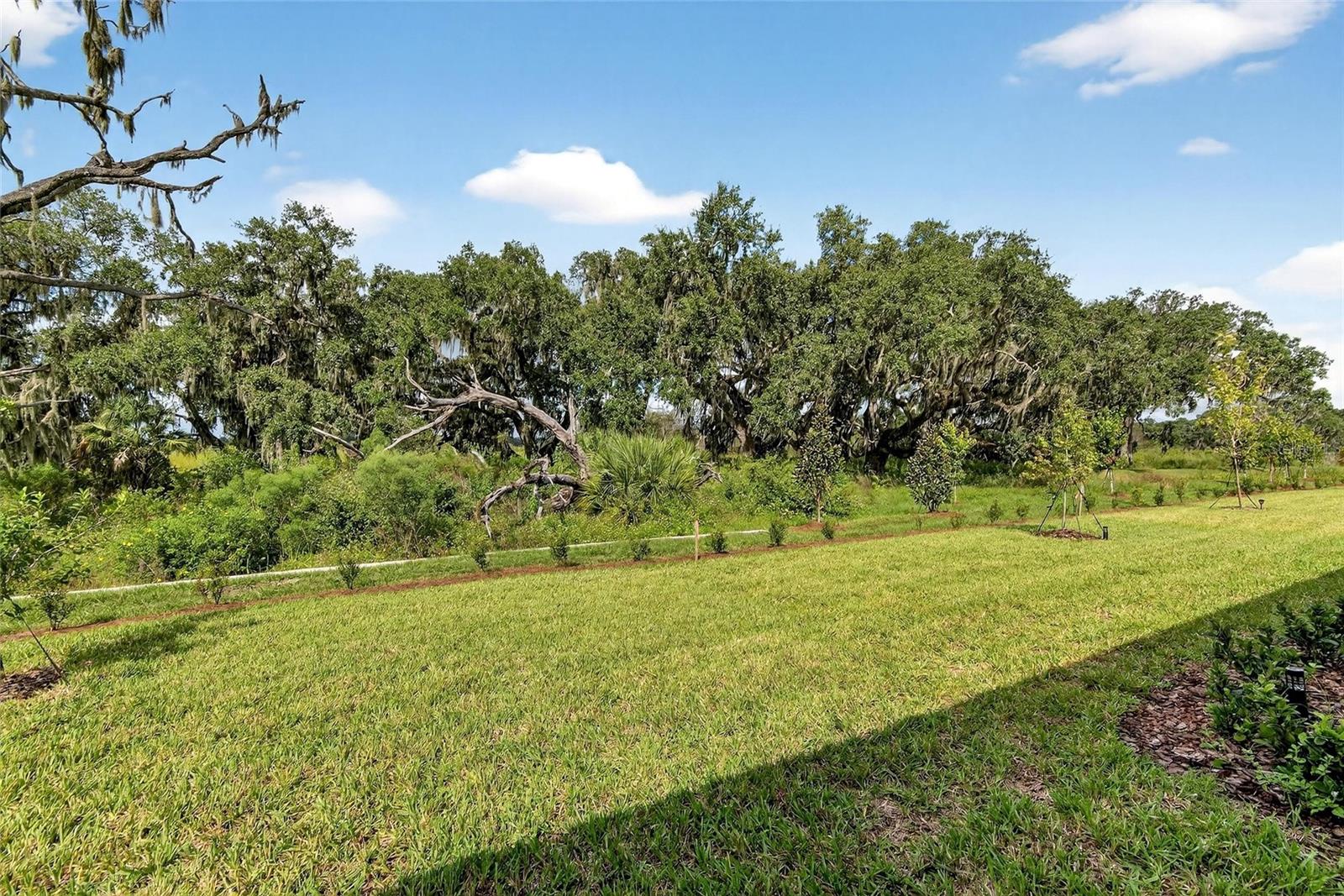 4027 Westwood Fields Loop Property Photo 58