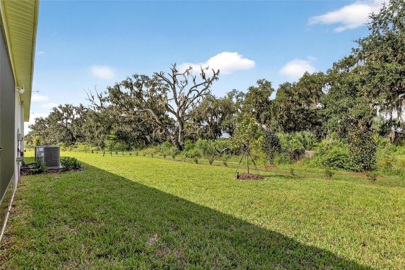 4027 Westwood Fields Loop Property Photo 61