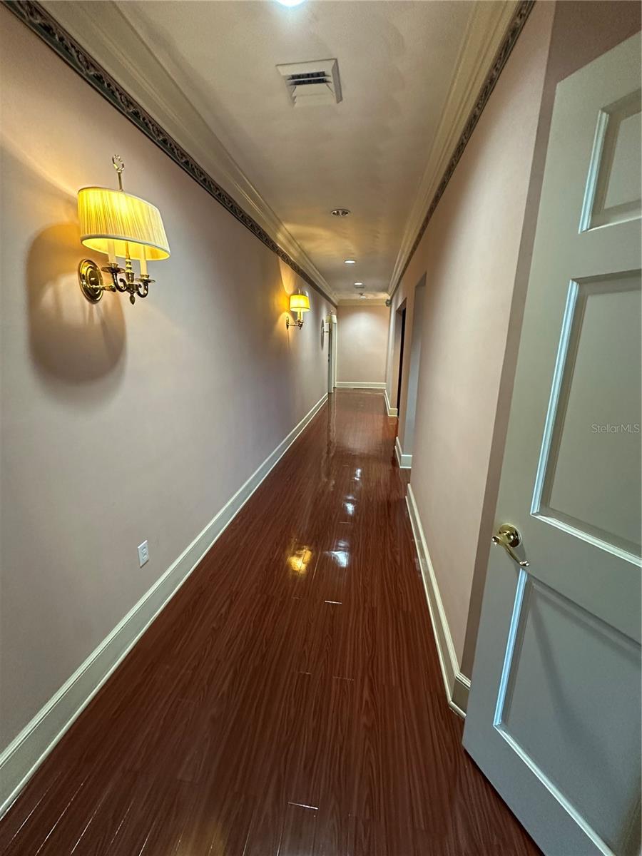 1005 Pinellas St Property Photo 16
