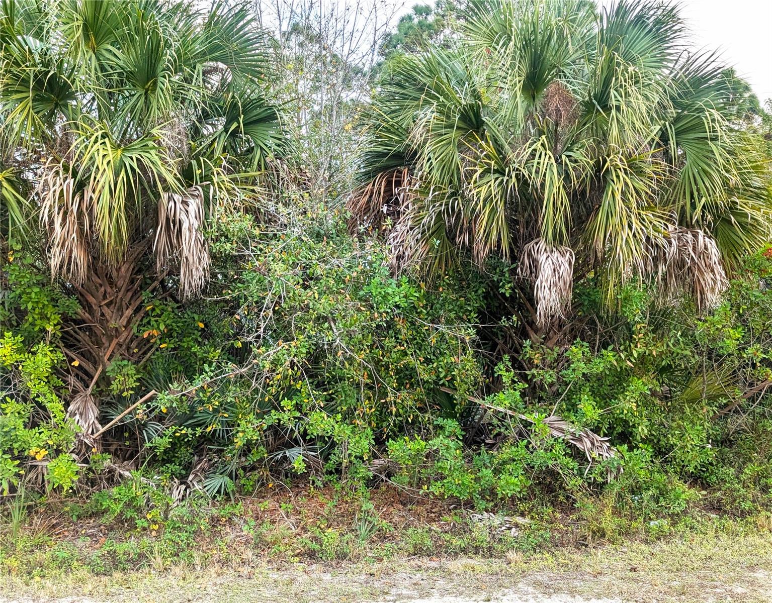 12885 86th St Property Photo 1