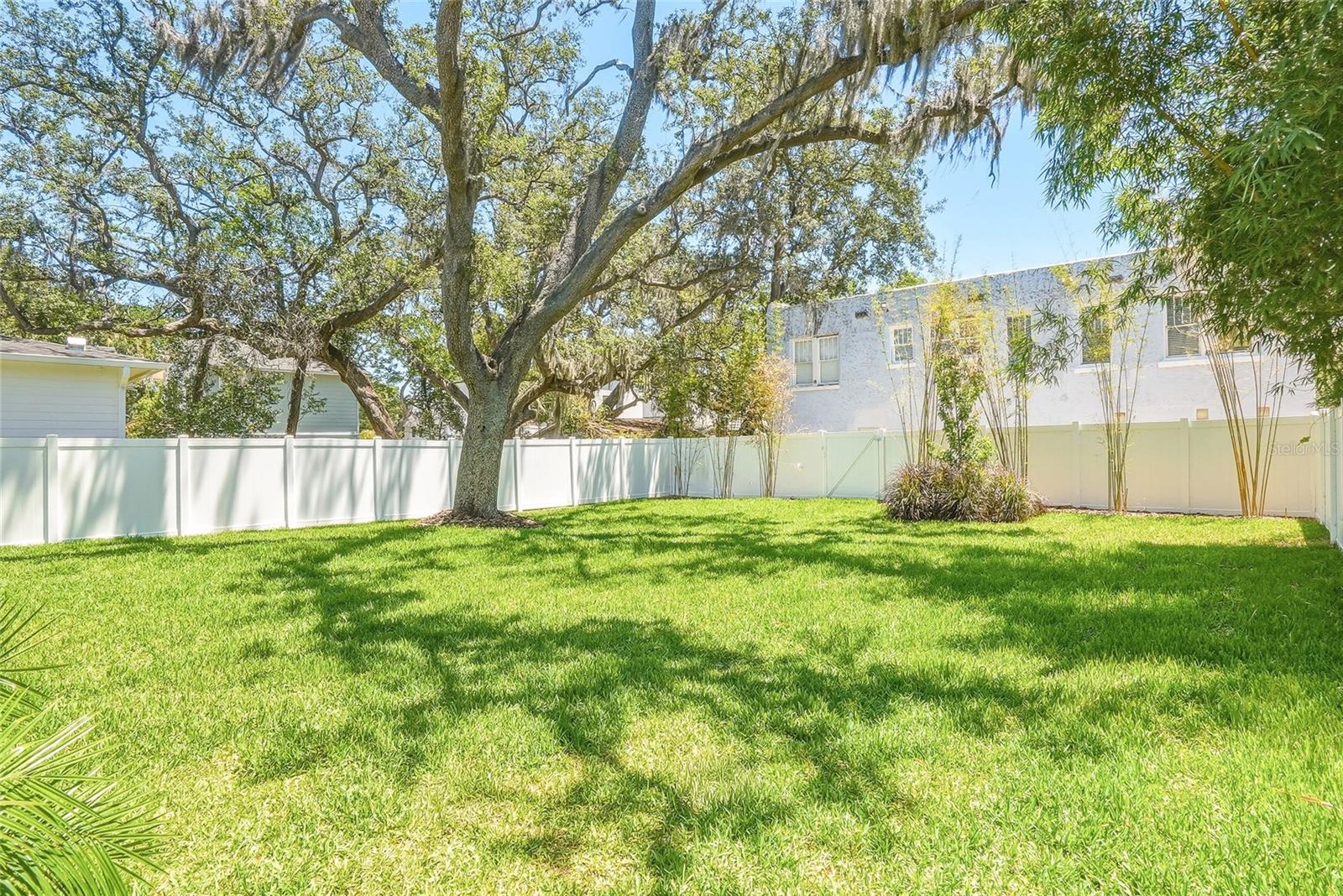 814 W Amelia Ave Property Photo 66