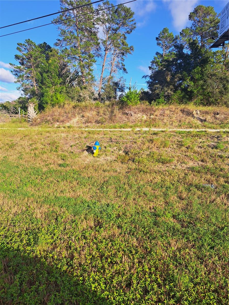 Us 19 Hwy Property Photo