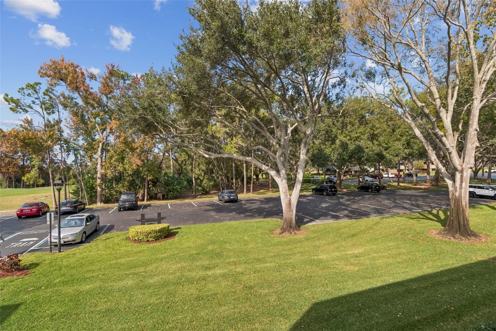 36750 Us Highway 19 N #17208 Property Photo 24