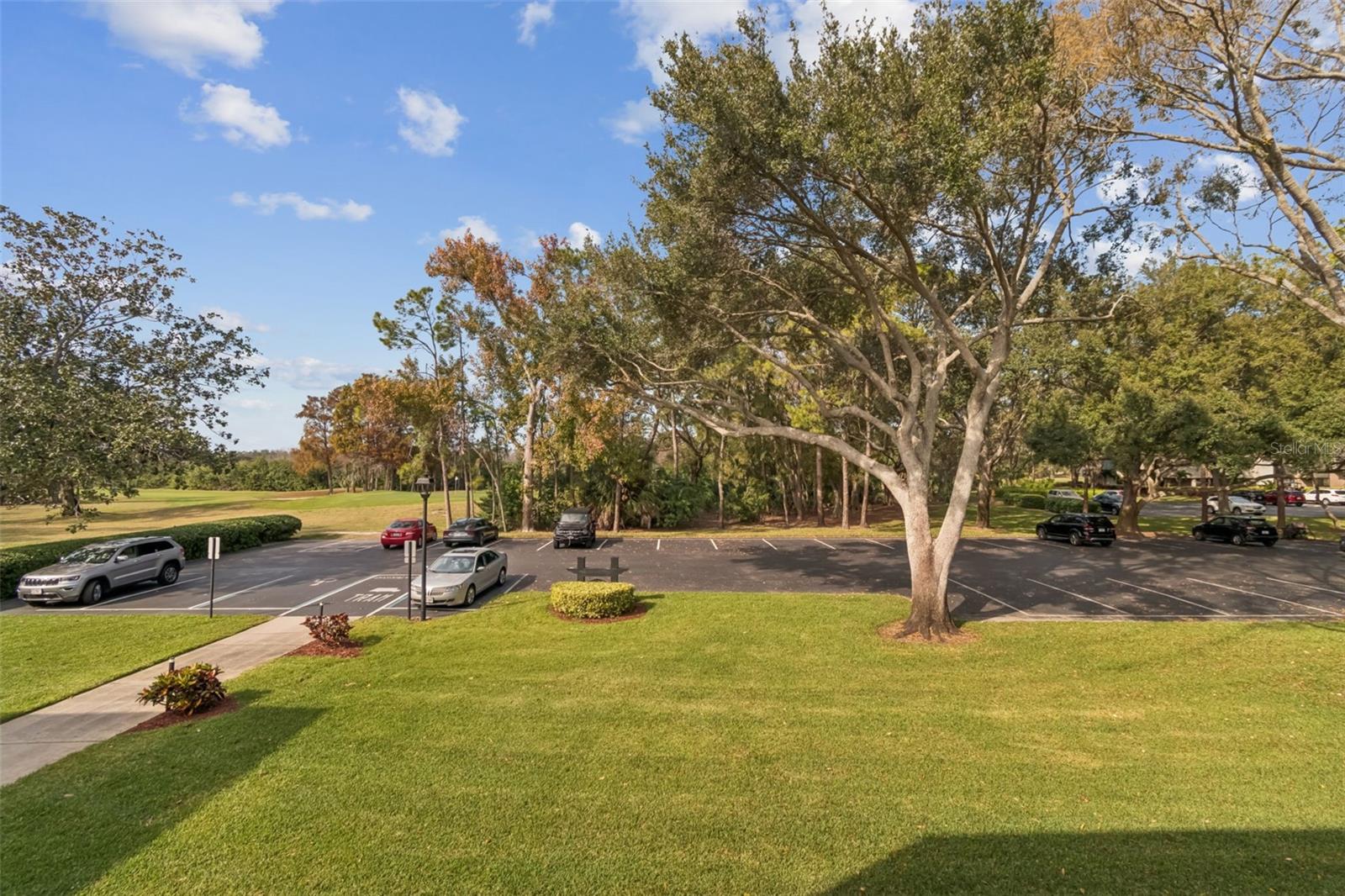36750 Us Highway 19 N #17208 Property Photo 26