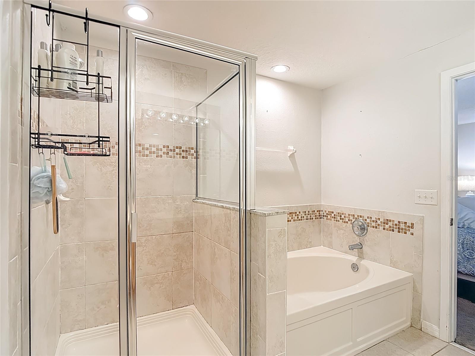 2426 Middleton Grove Dr Property Photo 39