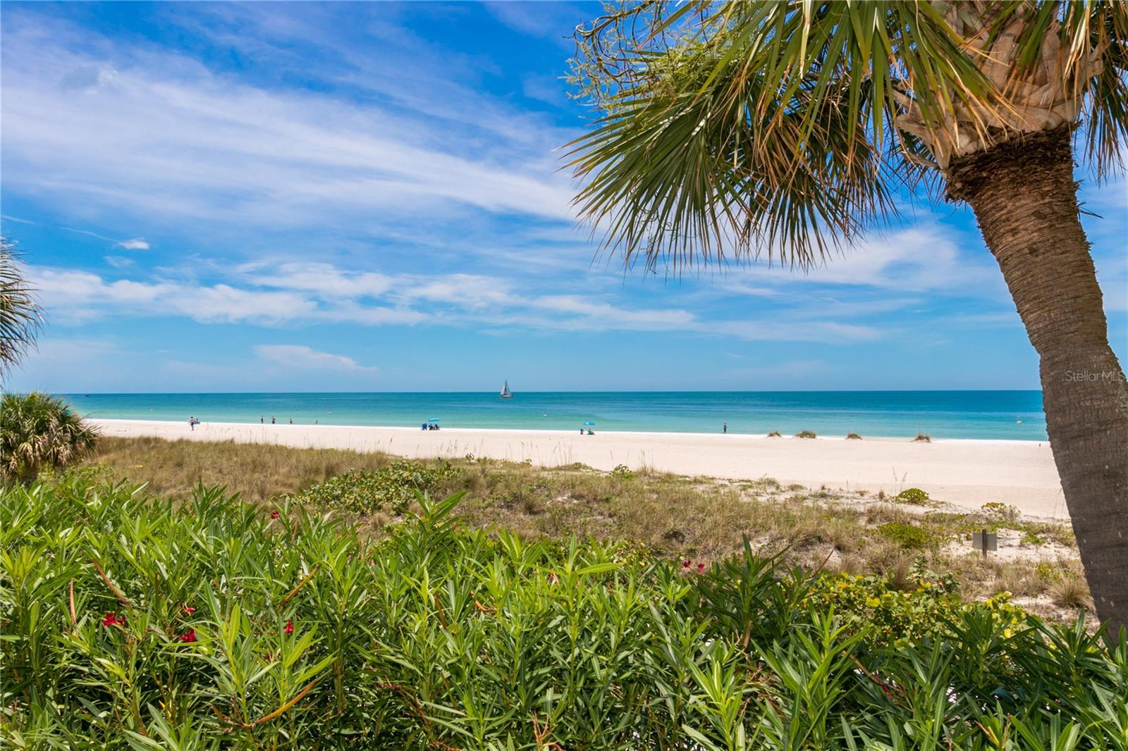 1380 Gulf Blvd #805 Property Photo 63