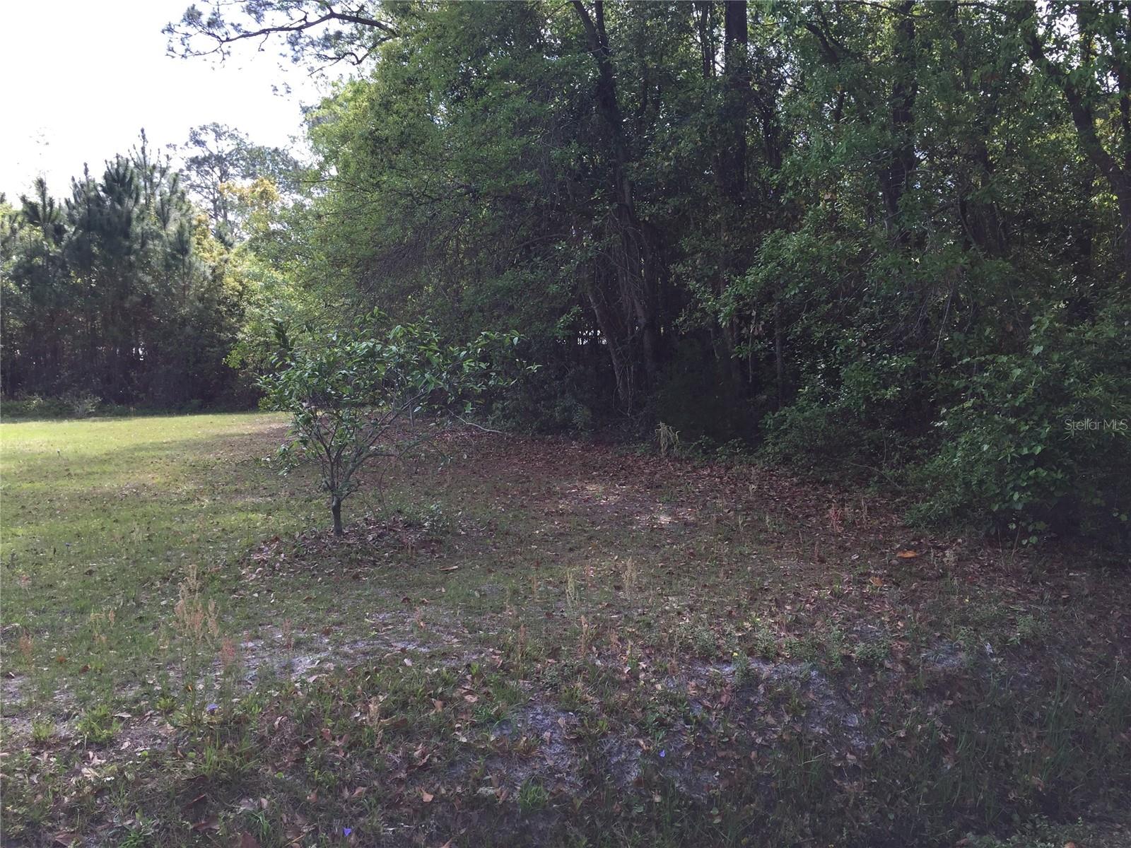 18th Property Photo 2
