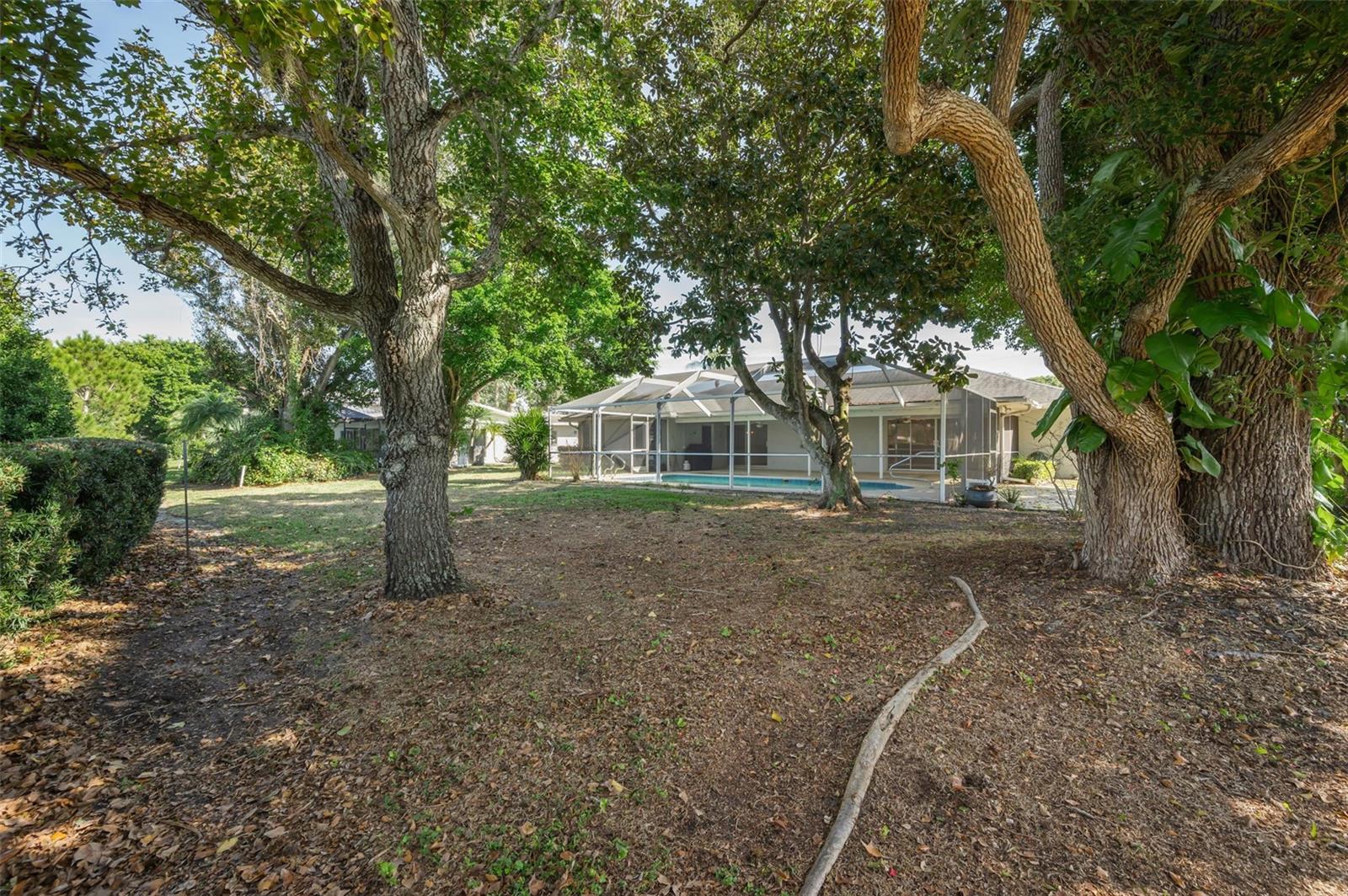 4 Hibiscus Rd Property Photo 65