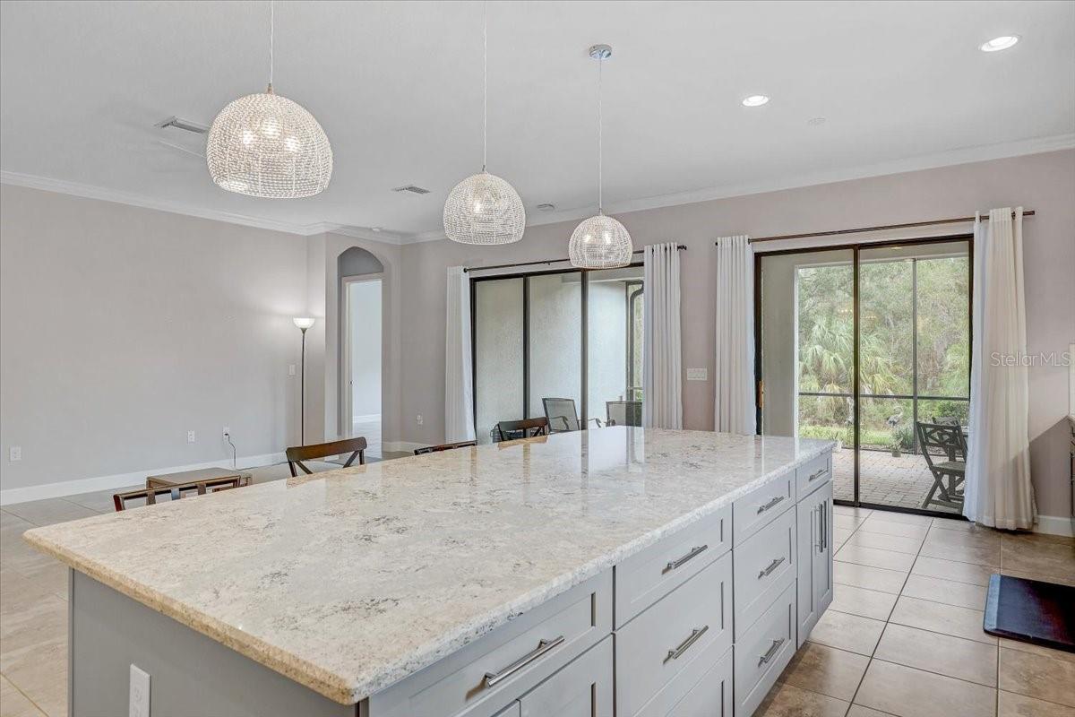 20113 Umbria Hill Dr Property Photo 21