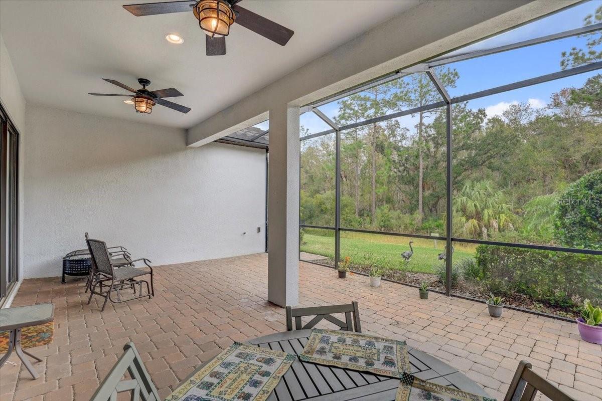 20113 Umbria Hill Dr Property Photo 49