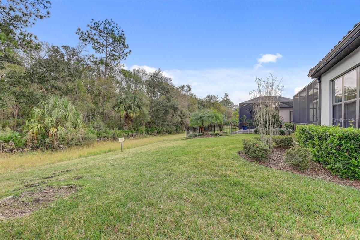 20113 Umbria Hill Dr Property Photo 52