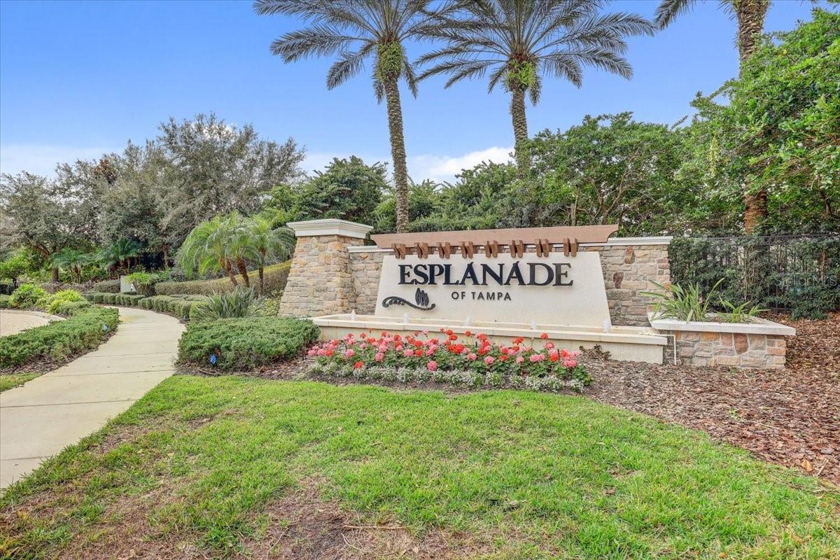 20113 Umbria Hill Dr Property Photo 61