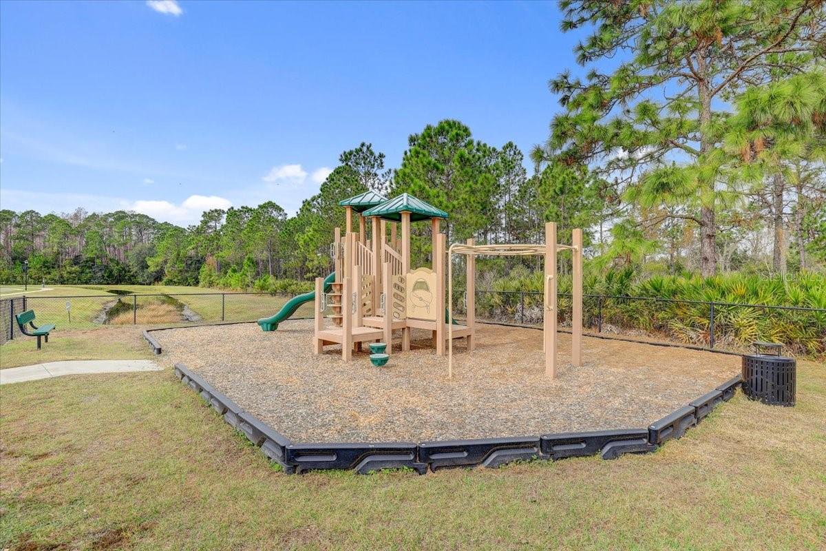 20113 Umbria Hill Dr Property Photo 72