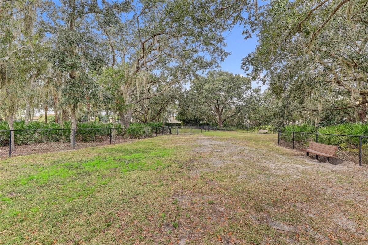 20113 Umbria Hill Dr Property Photo 73