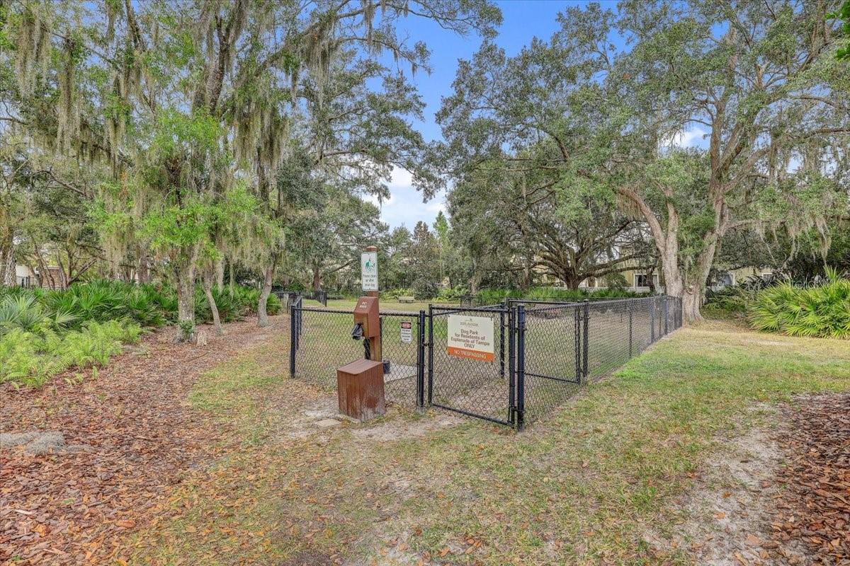 20113 Umbria Hill Dr Property Photo 74