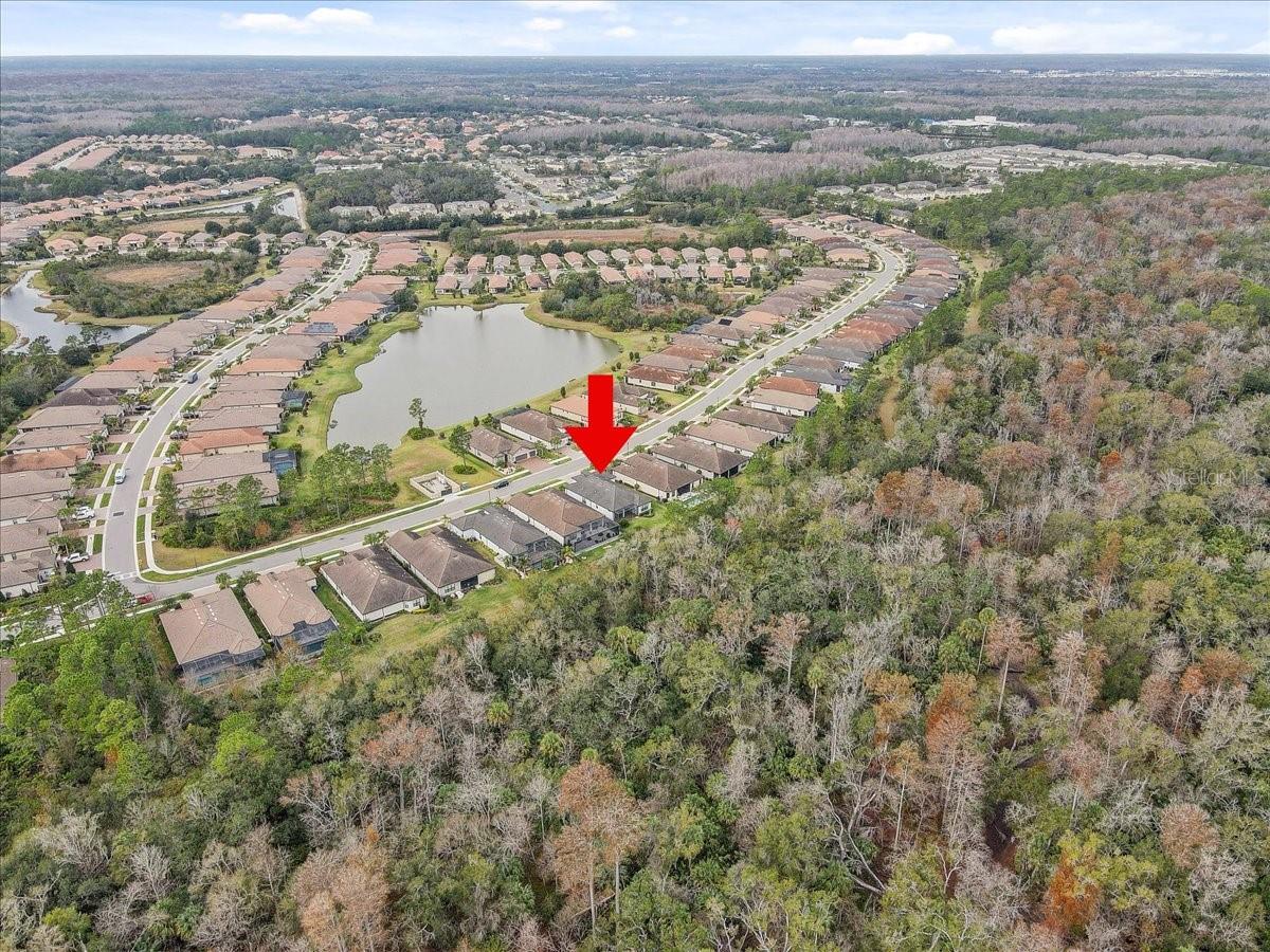 20113 Umbria Hill Dr Property Photo 79