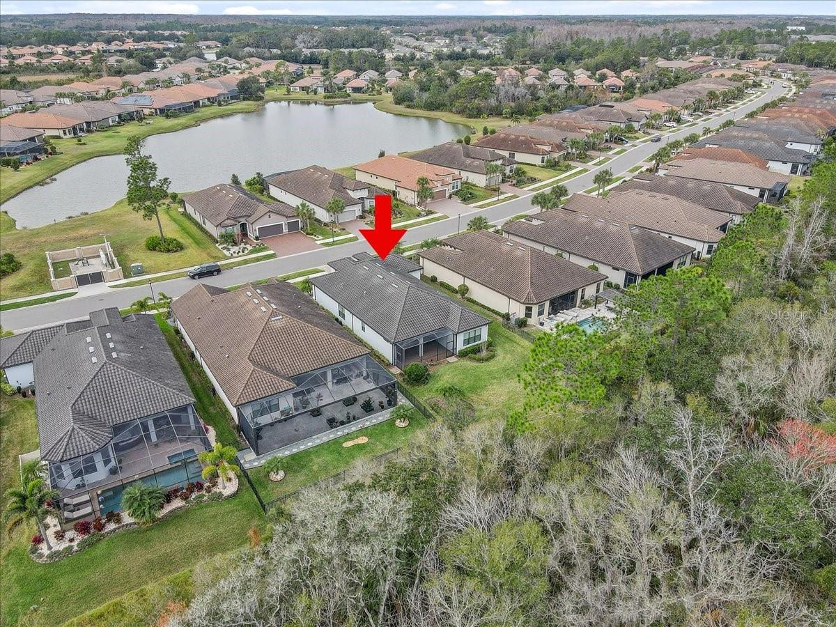 20113 Umbria Hill Dr Property Photo 80