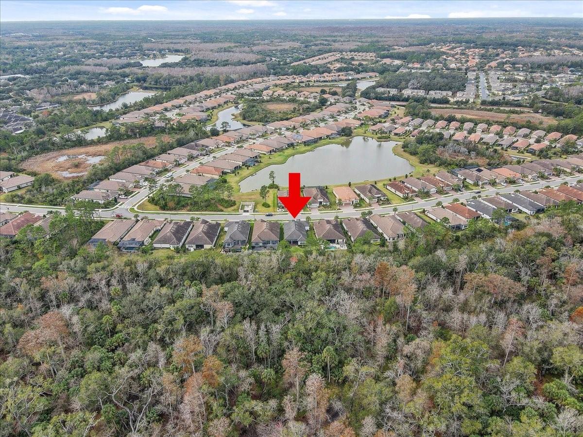 20113 Umbria Hill Dr Property Photo 81