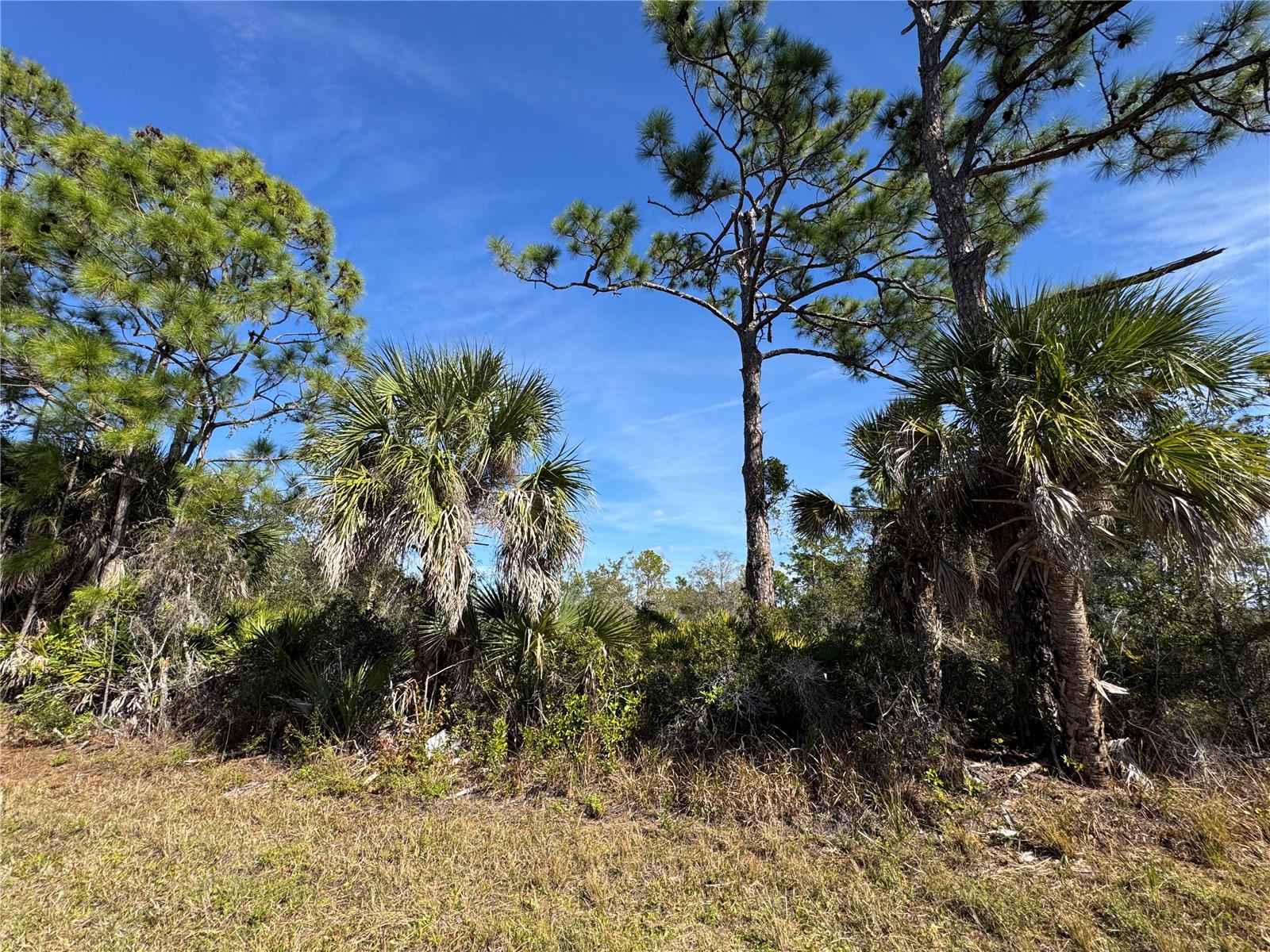 3110 Gillot Blvd Property Photo 2
