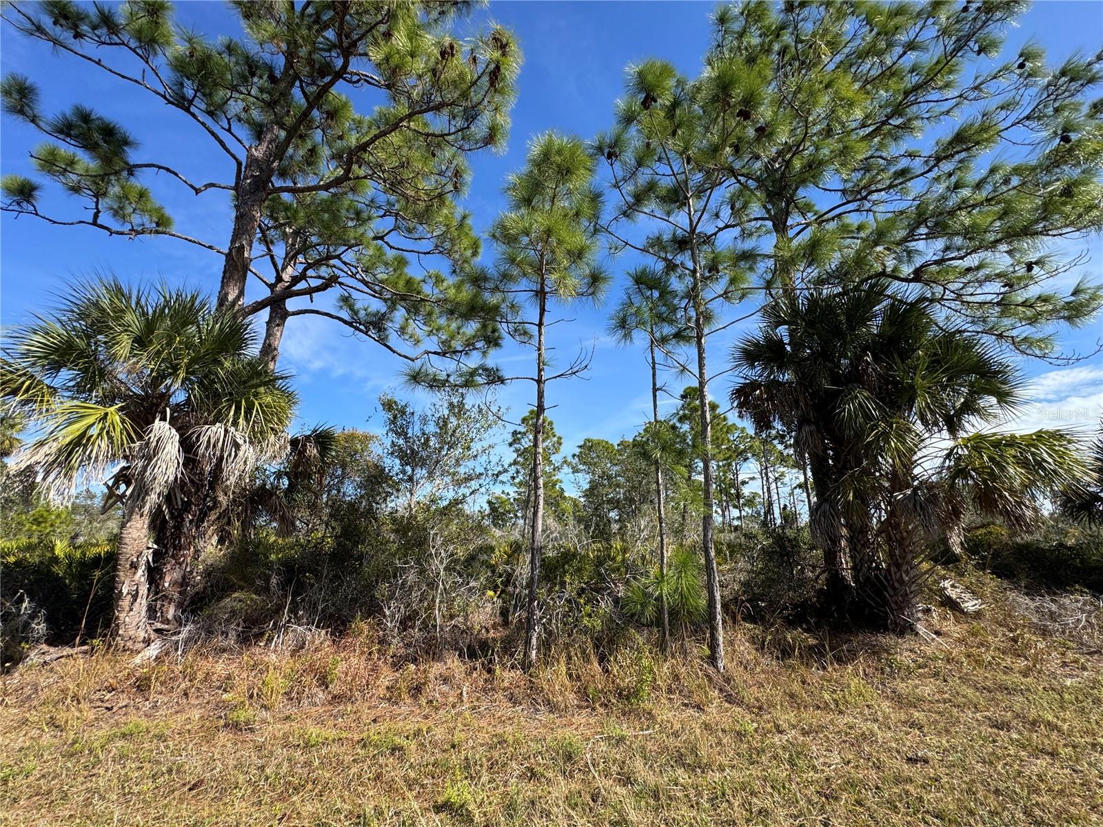 3110 Gillot Blvd Property Photo 3