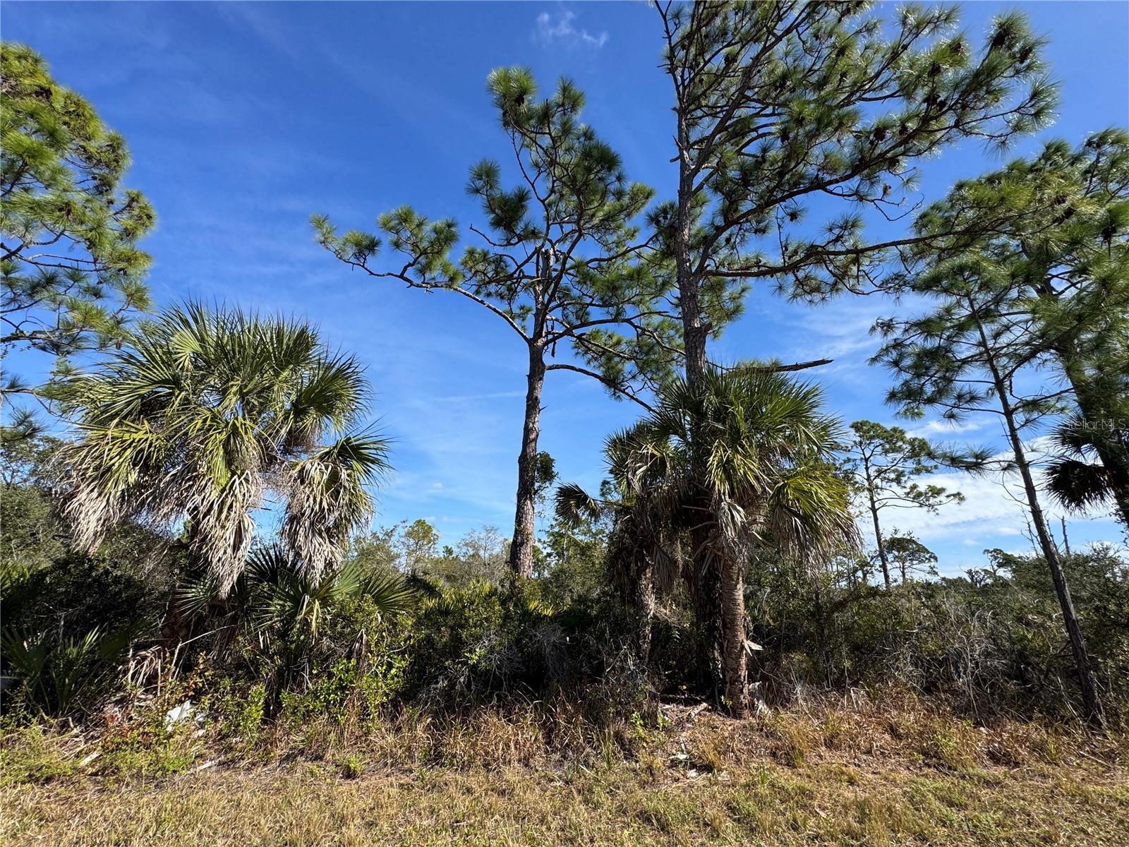 3110 Gillot Blvd Property Photo 4