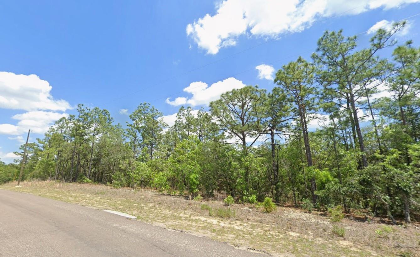 9313 N Hawkweed Dr Property Photo 2