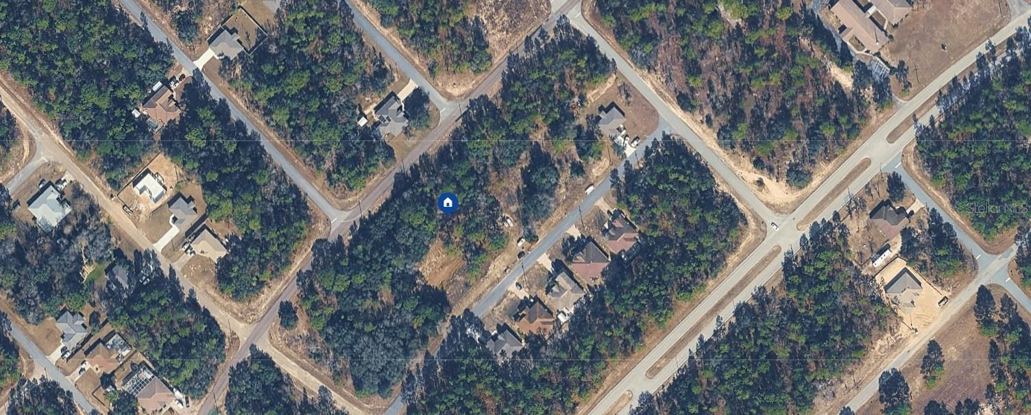9313 N Hawkweed Dr Property Photo 3