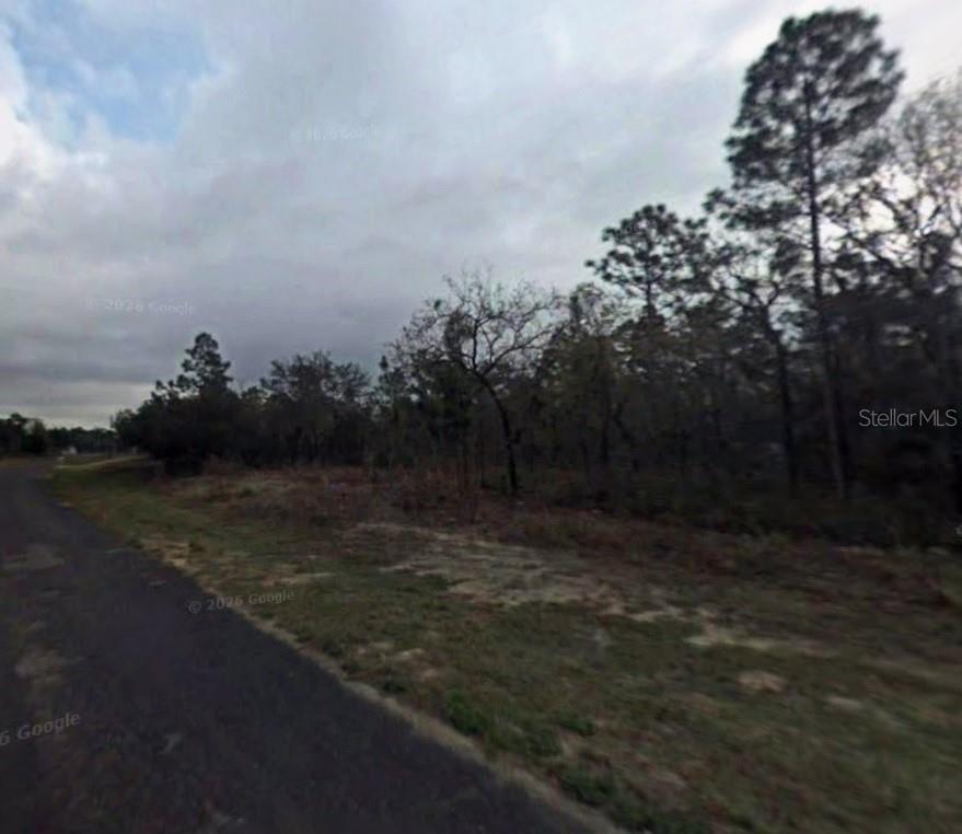 9075 N Marcus Way Property Photo 2