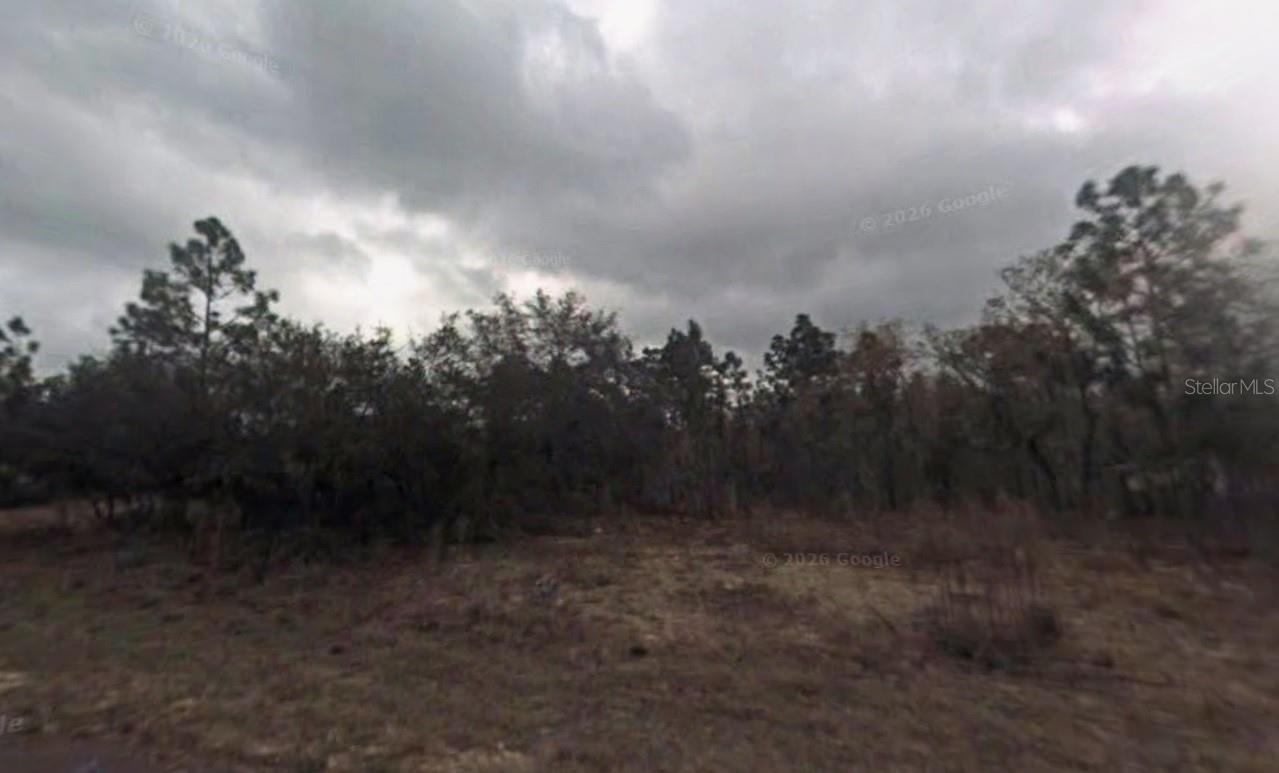 9075 N Marcus Way Property Photo 3