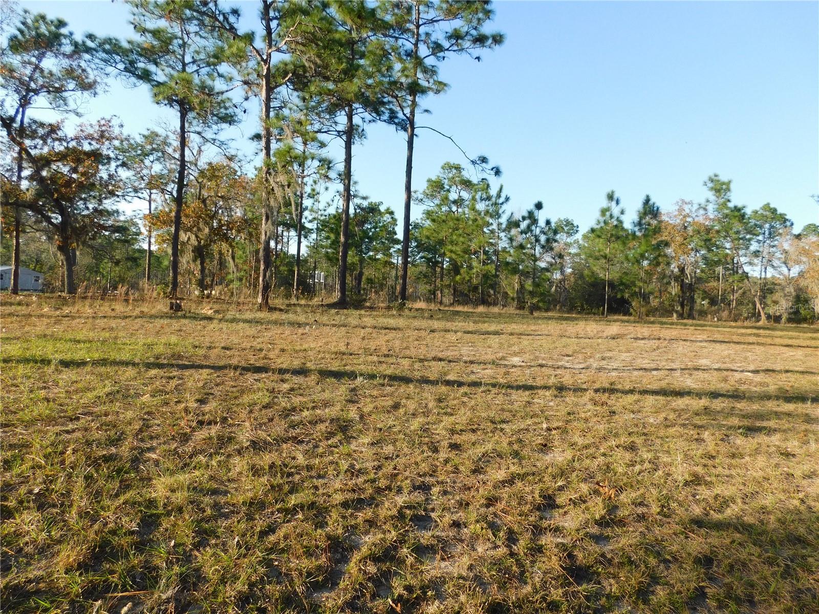 4932 E Eliza Ct Property Photo 6