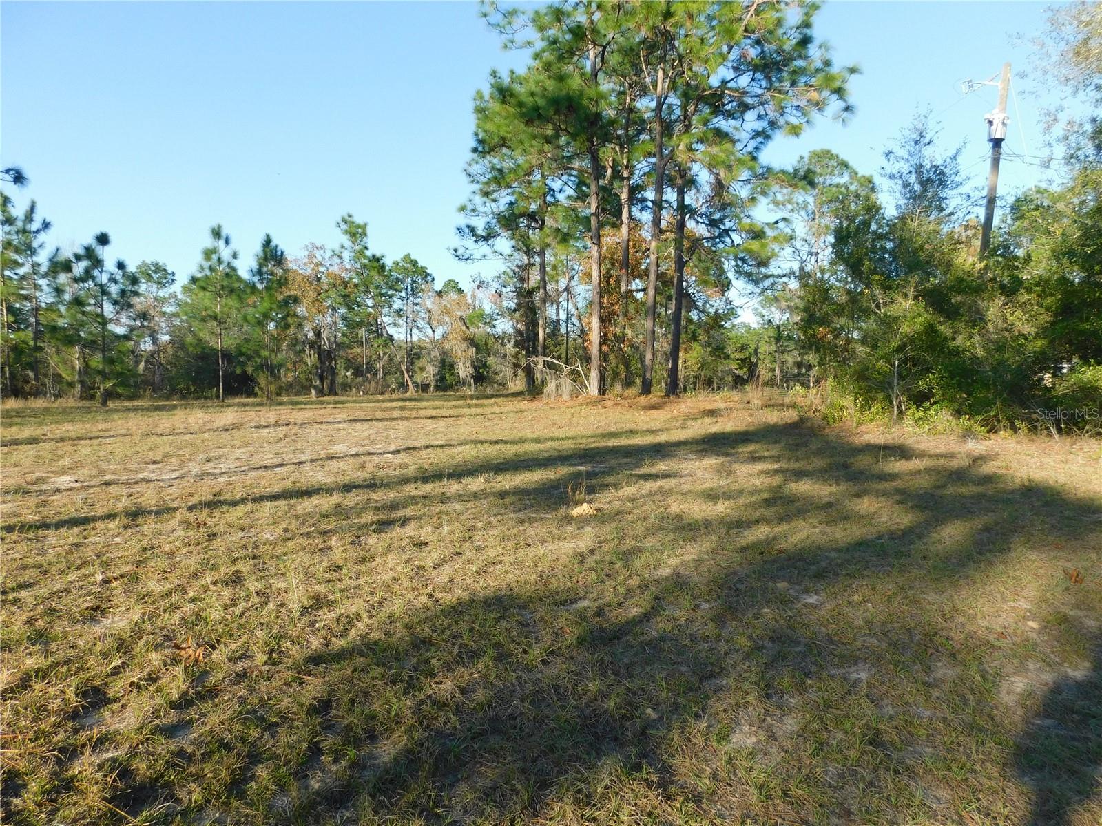 4932 E Eliza Ct Property Photo 7