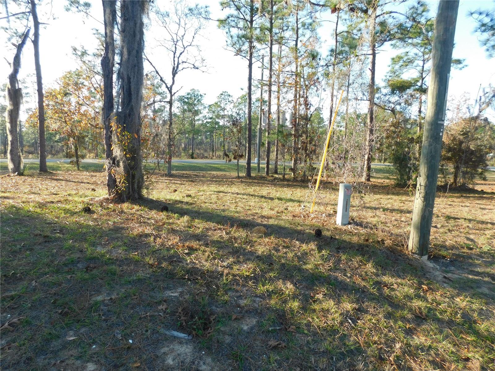 4932 E Eliza Ct Property Photo 11