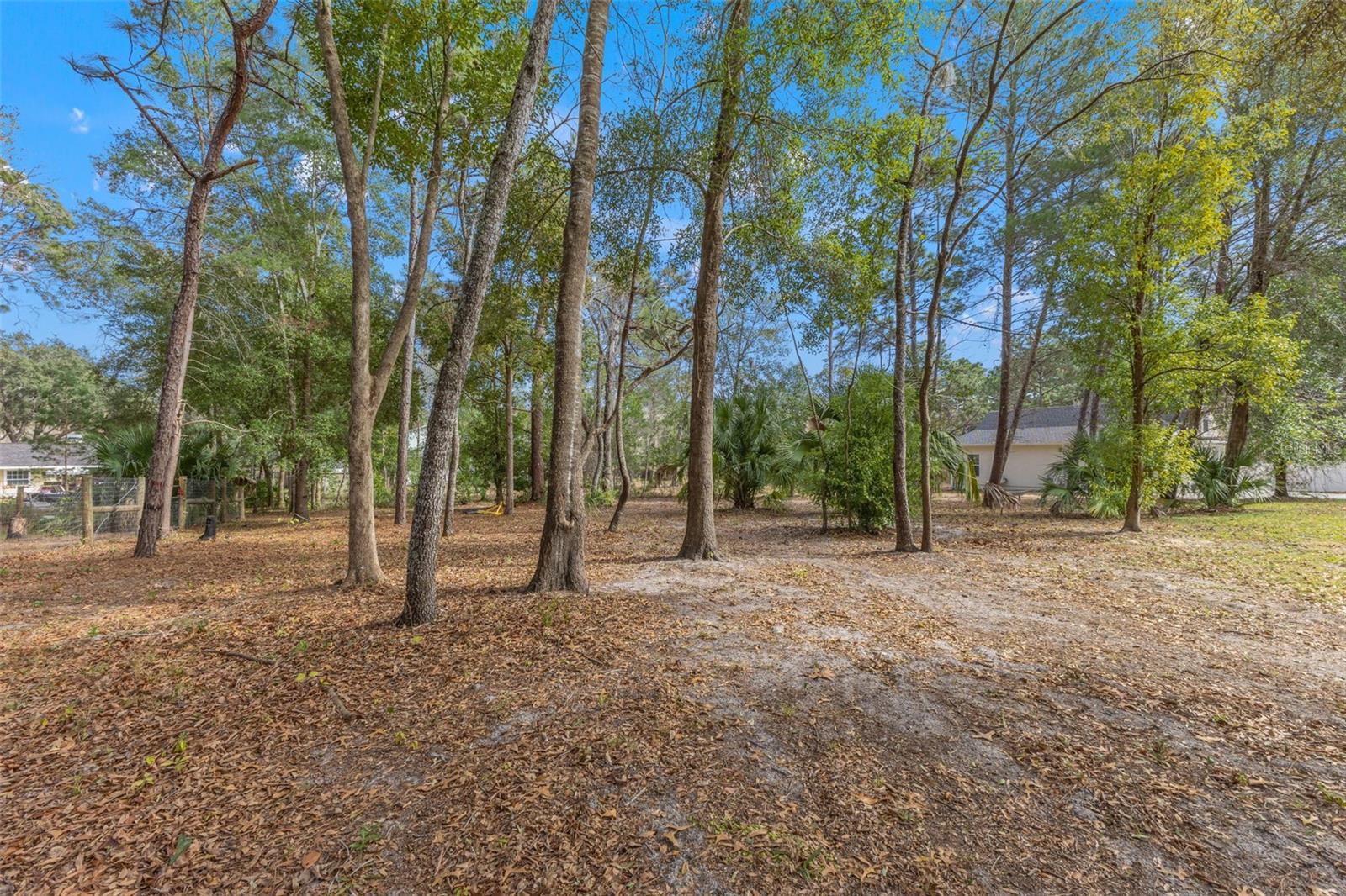 14071 Linden Dr Property Photo 63