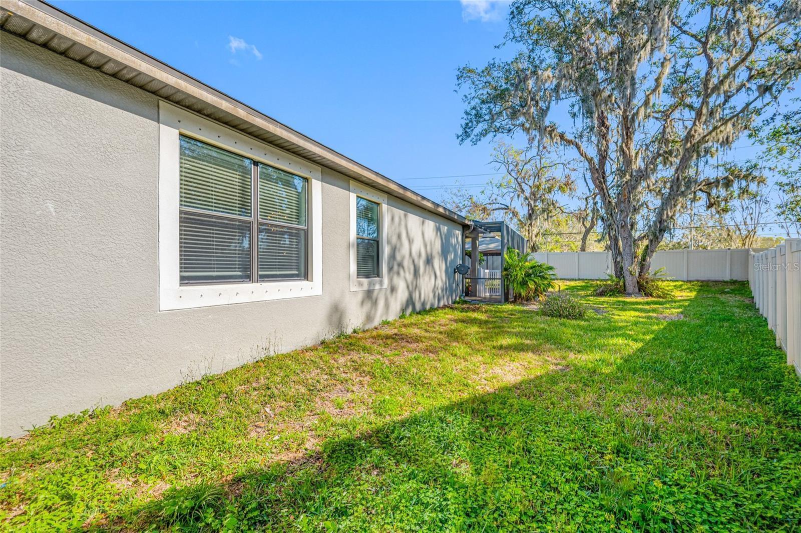 11652 Palmetto Pine St Property Photo 35