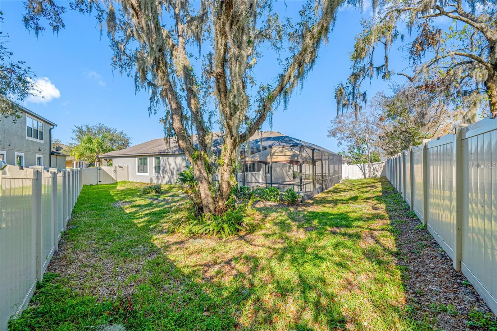 11652 Palmetto Pine St Property Photo 36