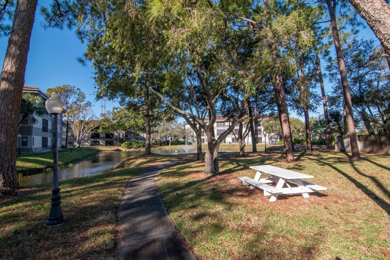 2650 Countryside Blvd #f303 Property Photo 7