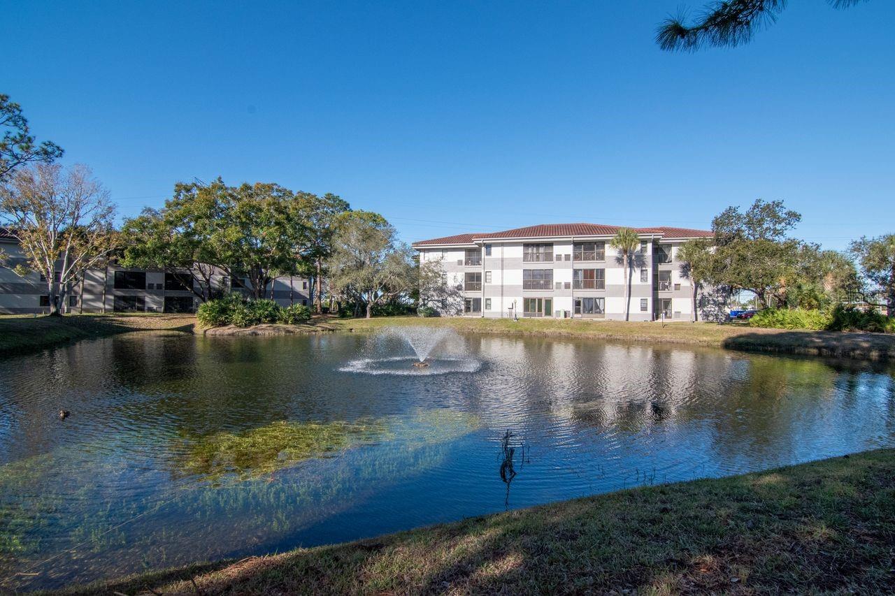 2650 Countryside Blvd #f303 Property Photo 9