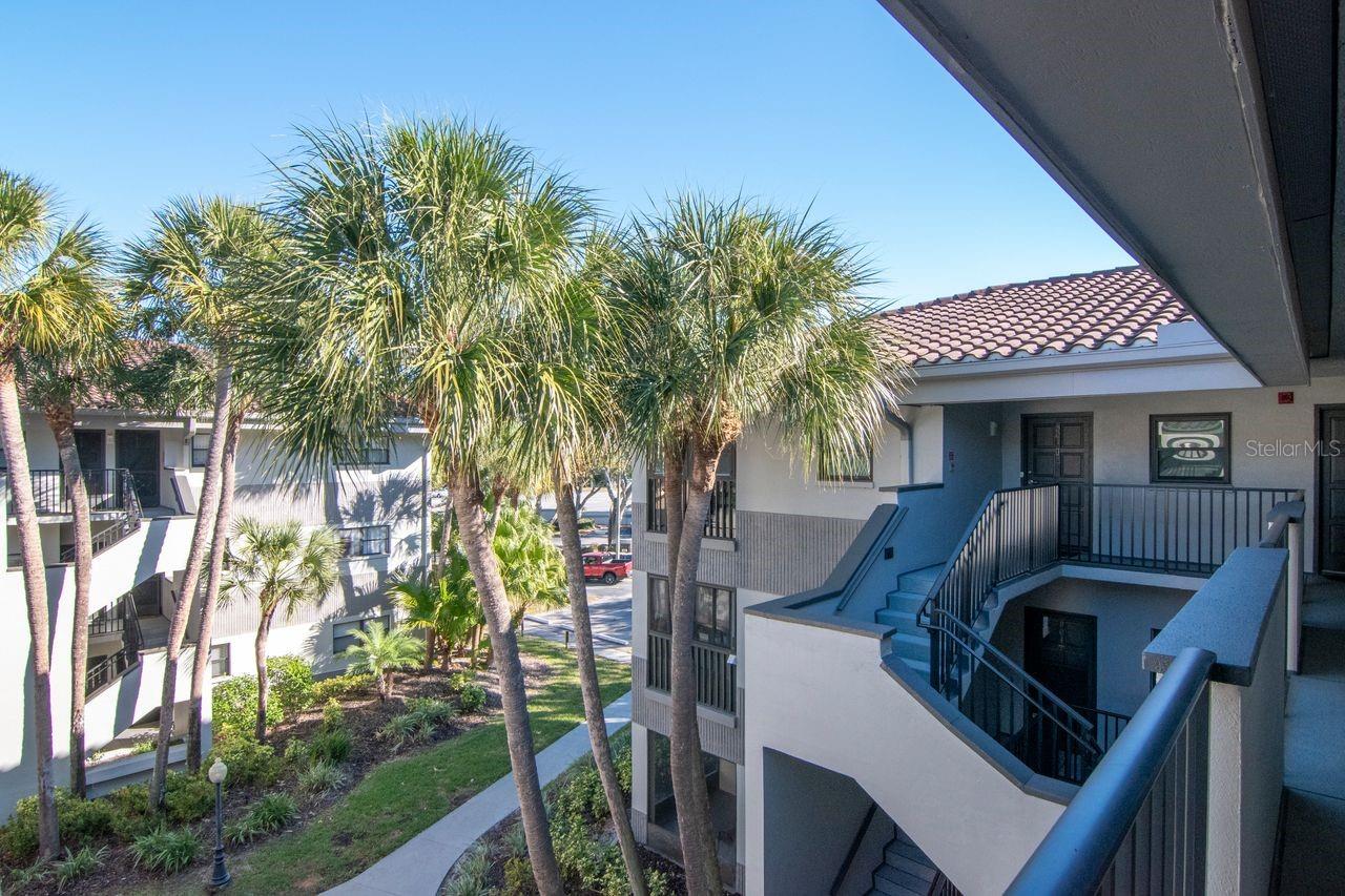 2650 Countryside Blvd #f303 Property Photo 13