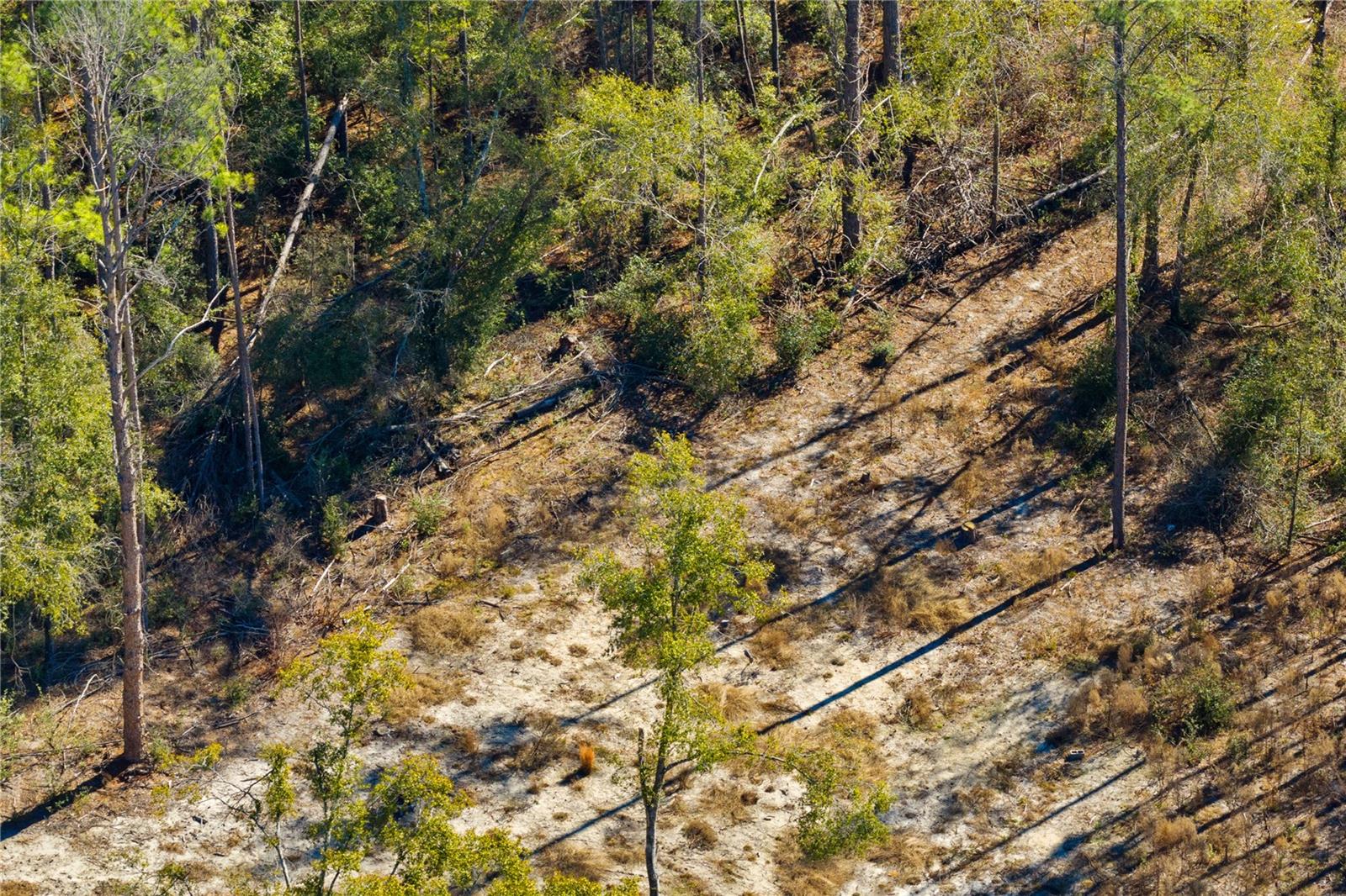 12th Ter Property Photo 32