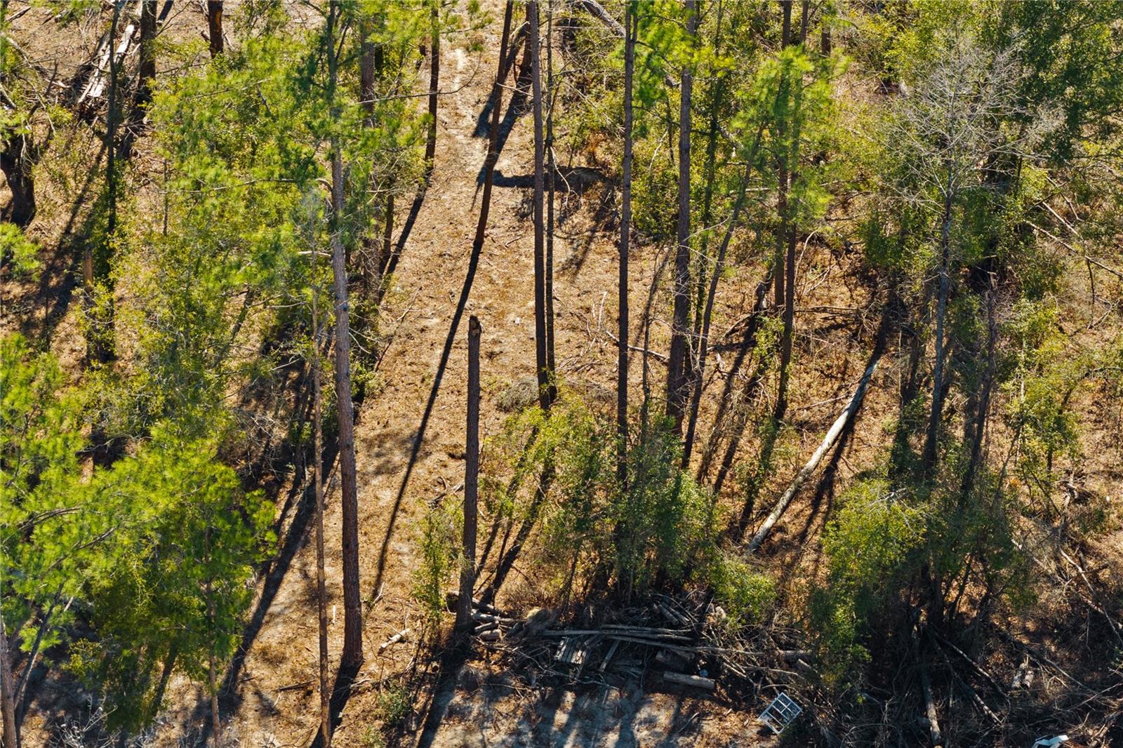 12th Ter Property Photo 34