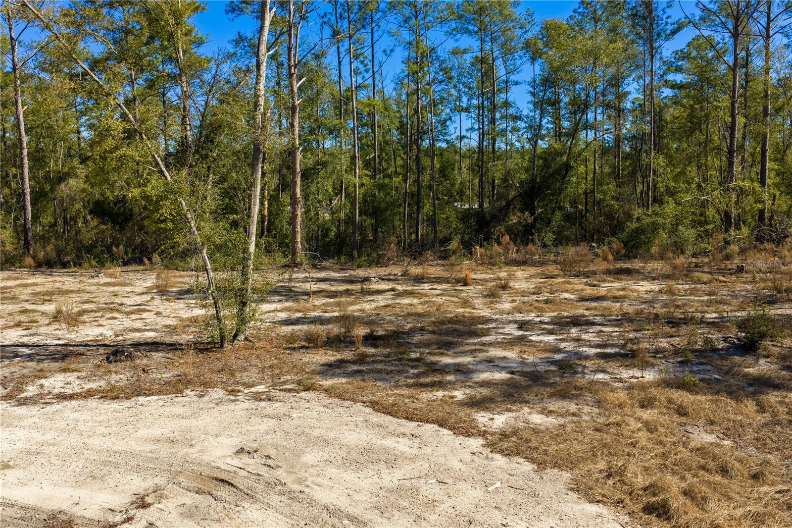 12th Ter Property Photo 58