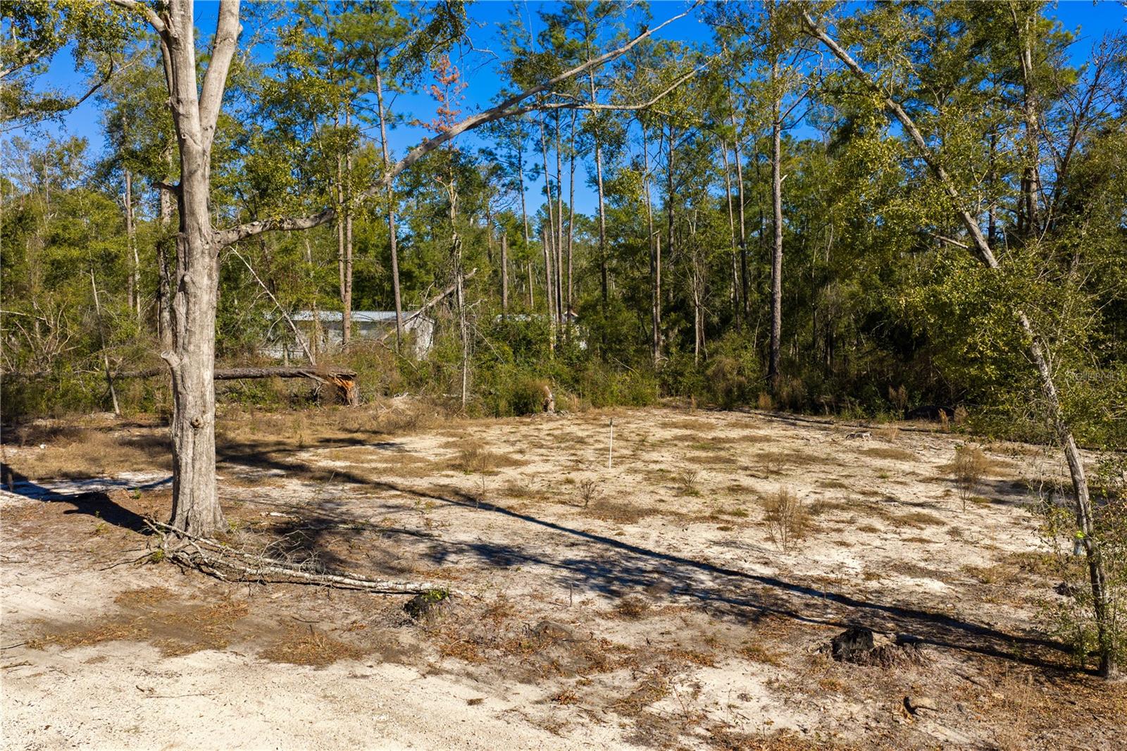 12th Ter Property Photo 59