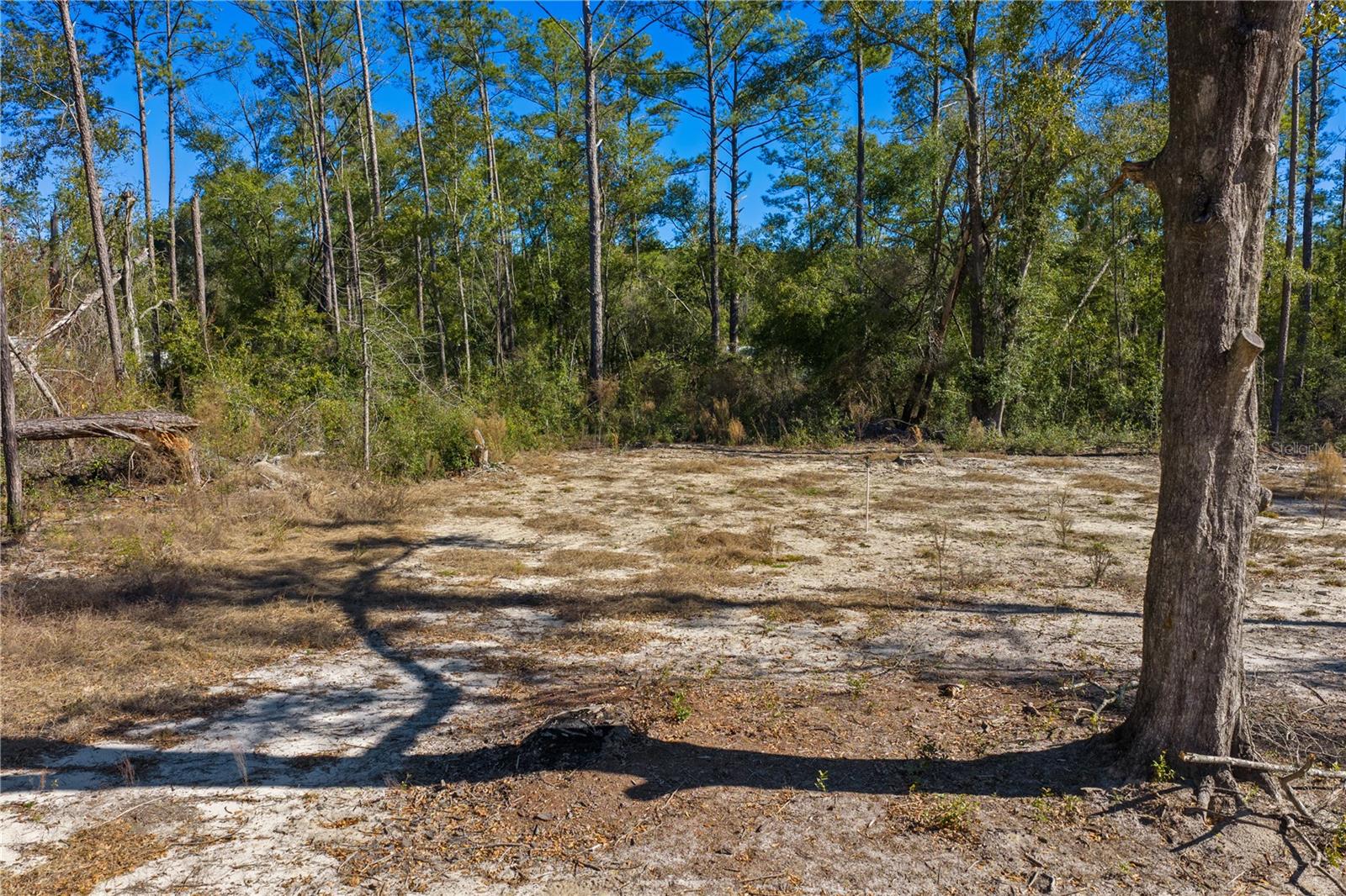 12th Ter Property Photo 62