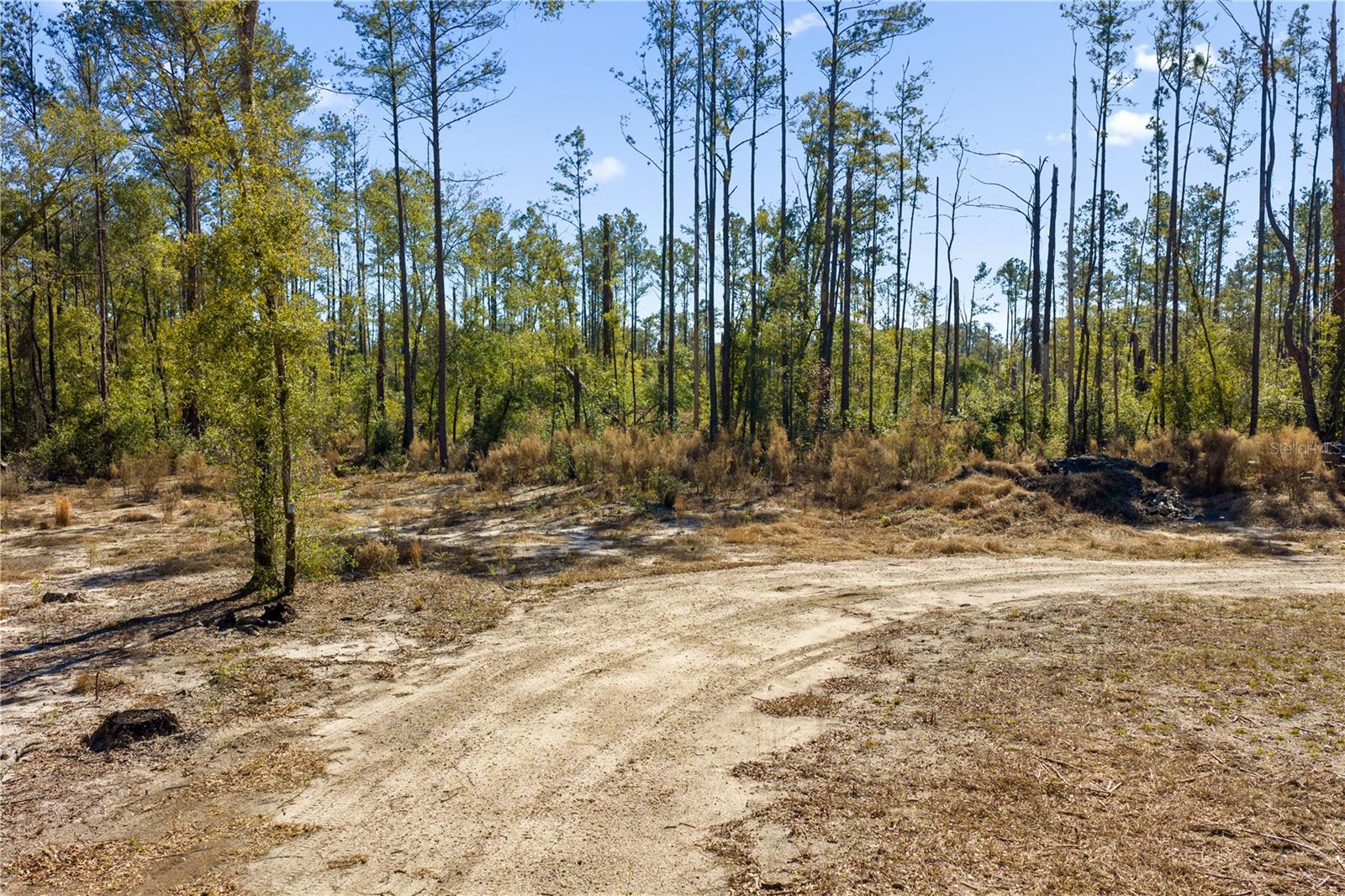 12th Ter Property Photo 63