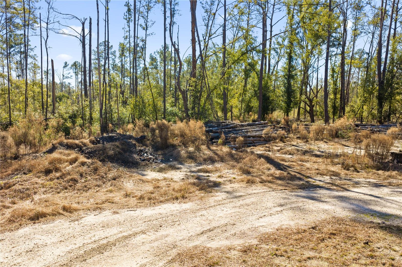 12th Ter Property Photo 65