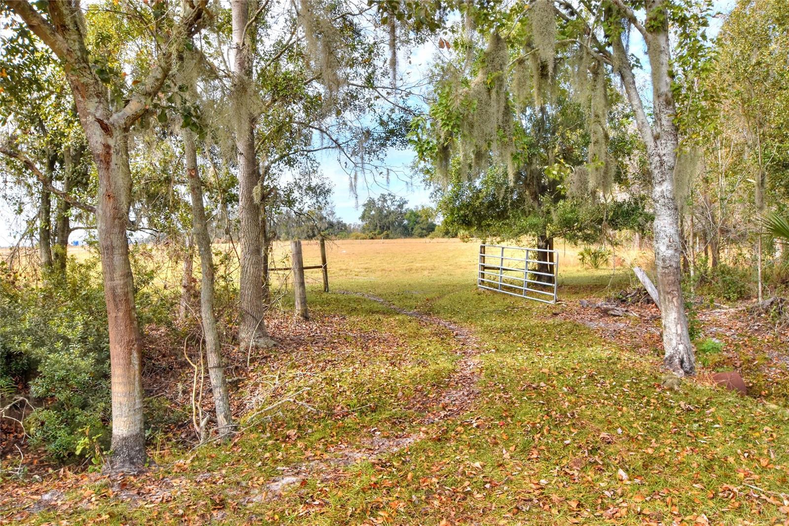 Colding Loop Property Photo 2